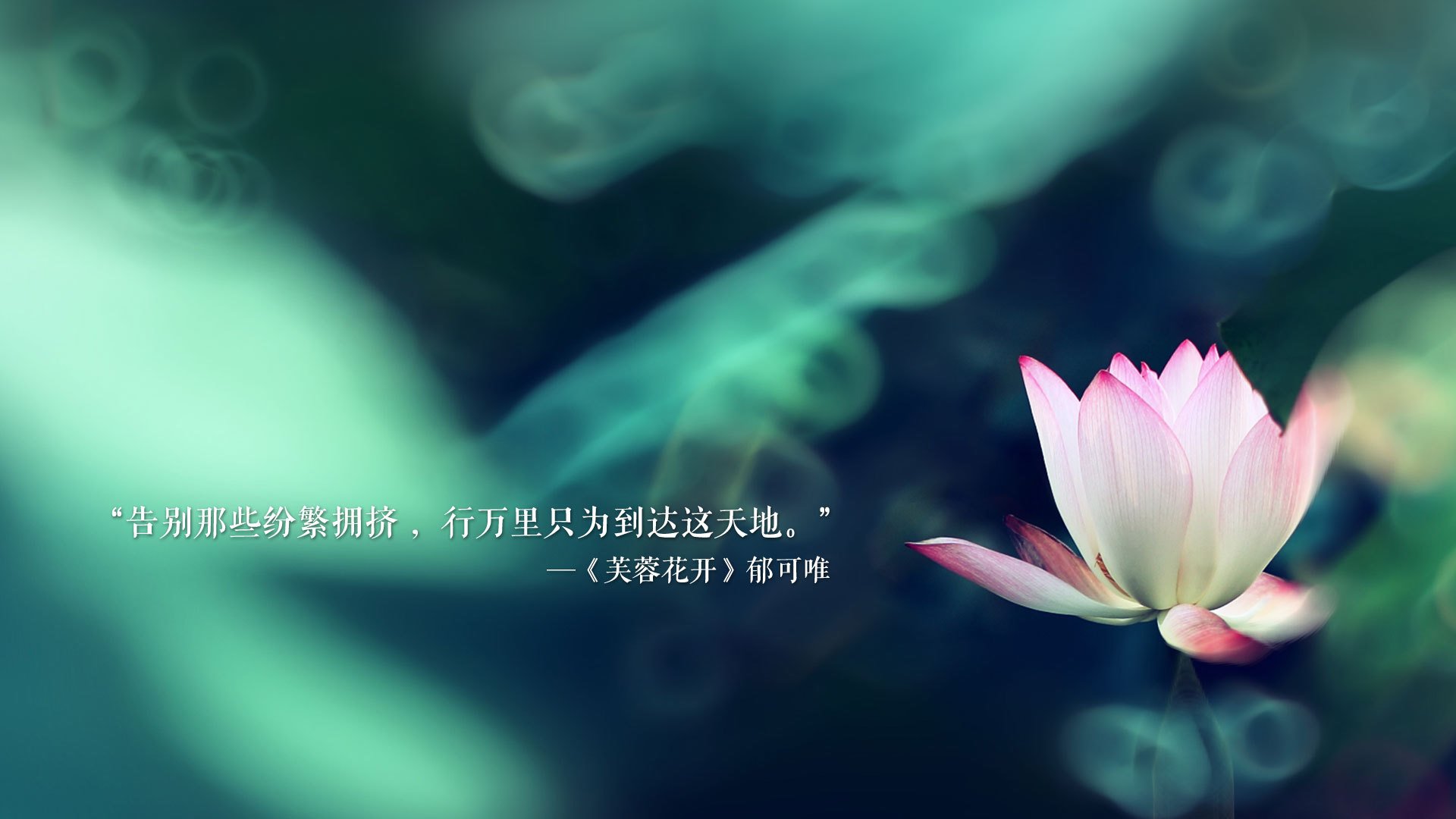 传统竹竿舞运动会，文化传承与现代结合，竹竿舞表演解说词