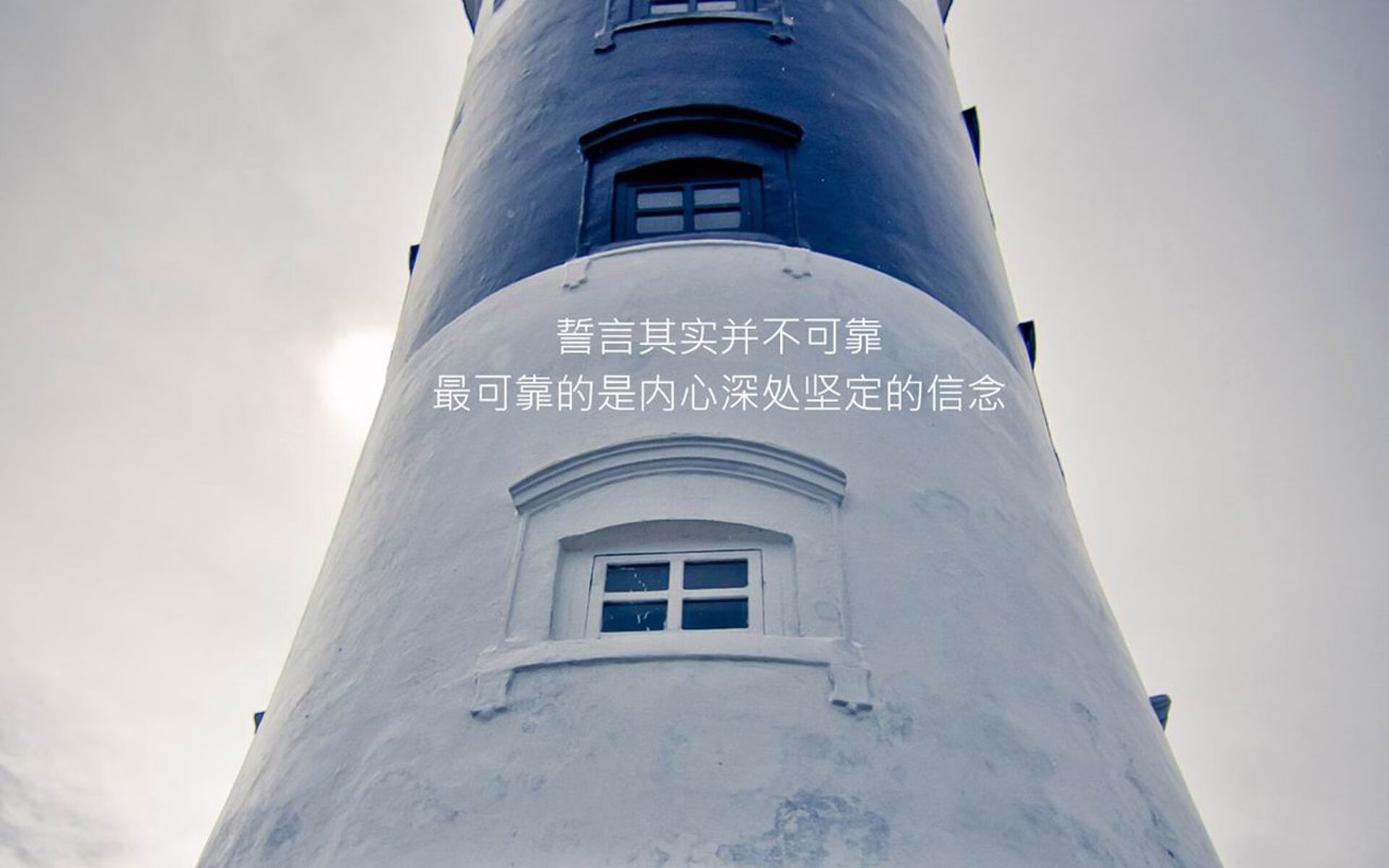 新西兰全黑队赢得2024年橄榄球世界杯冠军，新西兰橄榄球队访问南非