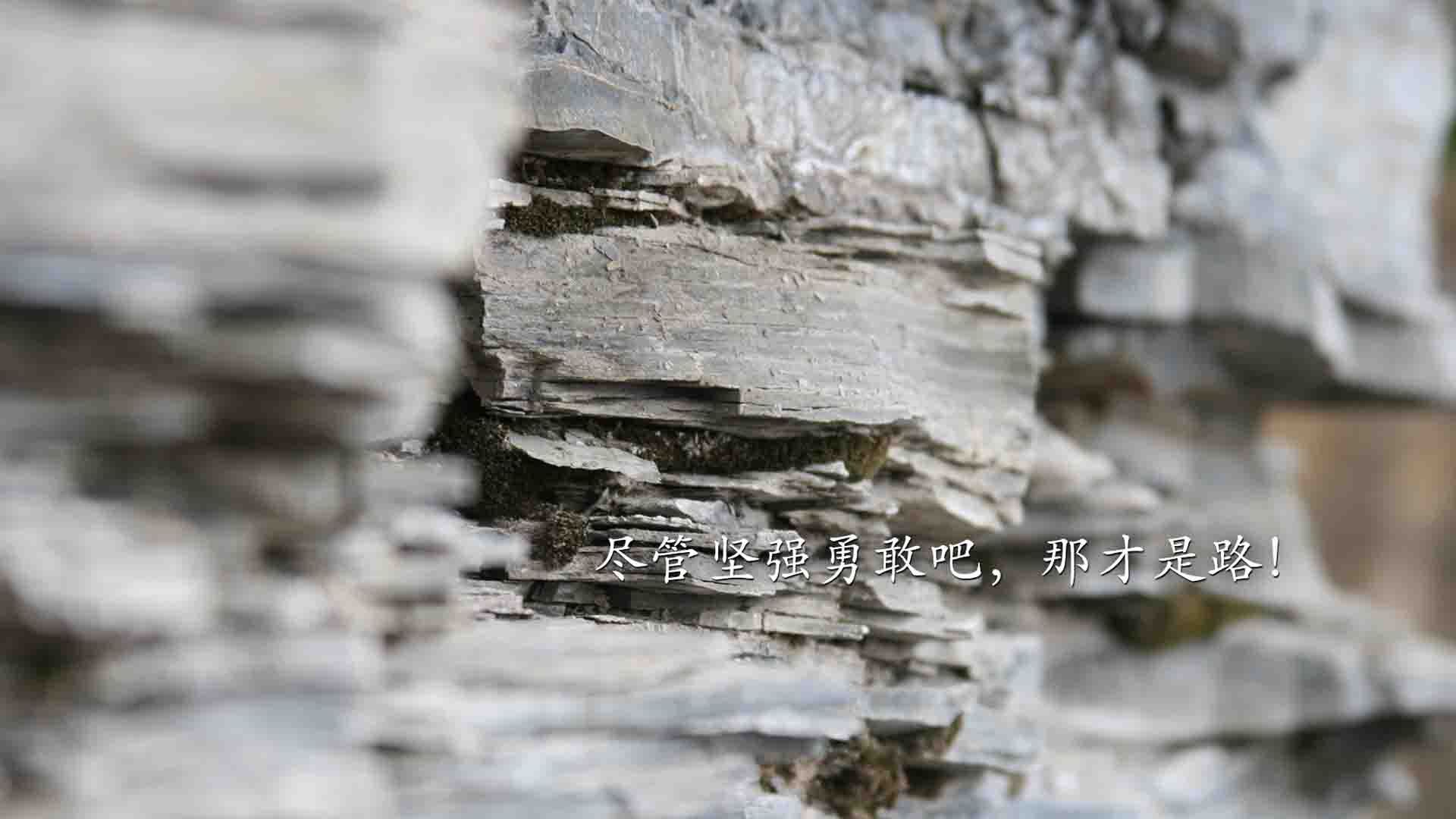 体育场馆绿色照明改造项目完成验收,体育场馆照明设计及检测标准2016