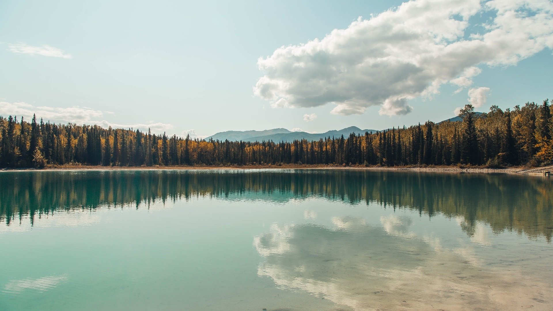 体育文化融入城市更新焕发活力,体育文化建设