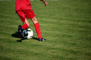 九游下载安装-体育新闻中心发布体育短视频内容运营新策略，体育短视频存在的问题