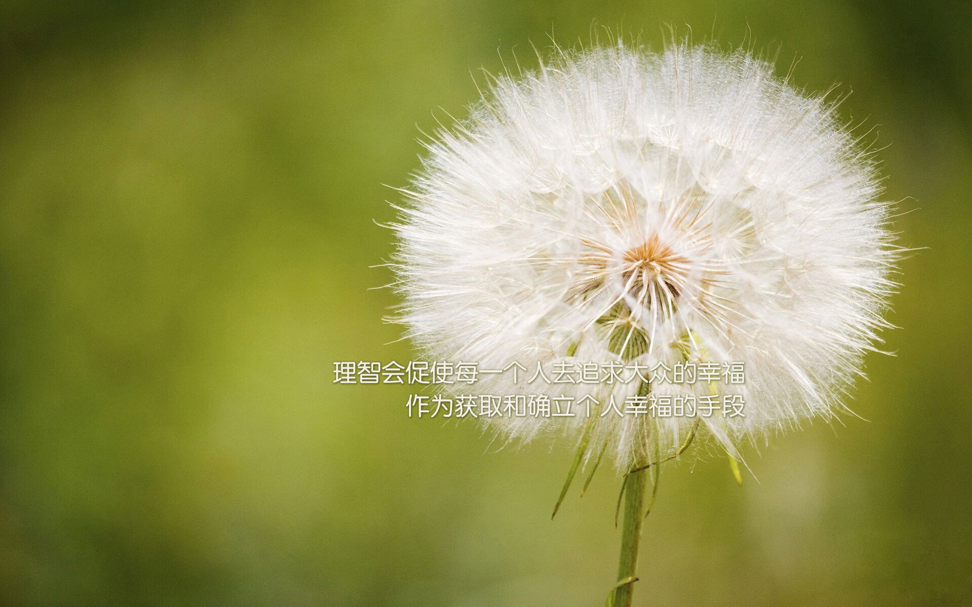 九游游戏中心官网-新疆男篮主场气氛热烈成为联盟焦点球馆，新疆男篮最新名单和球队号码