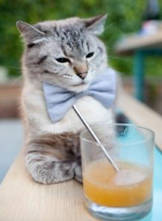 九游(jiuyou)官方网站-联赛末段积分焦灼是否更考验教练战术适应能力，联赛积分赛阵容