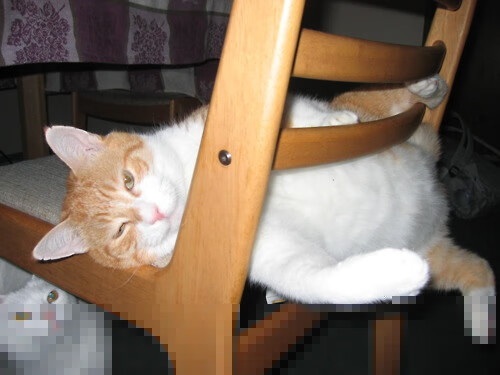 莱德基稳居中长距离王座,莱德基实力