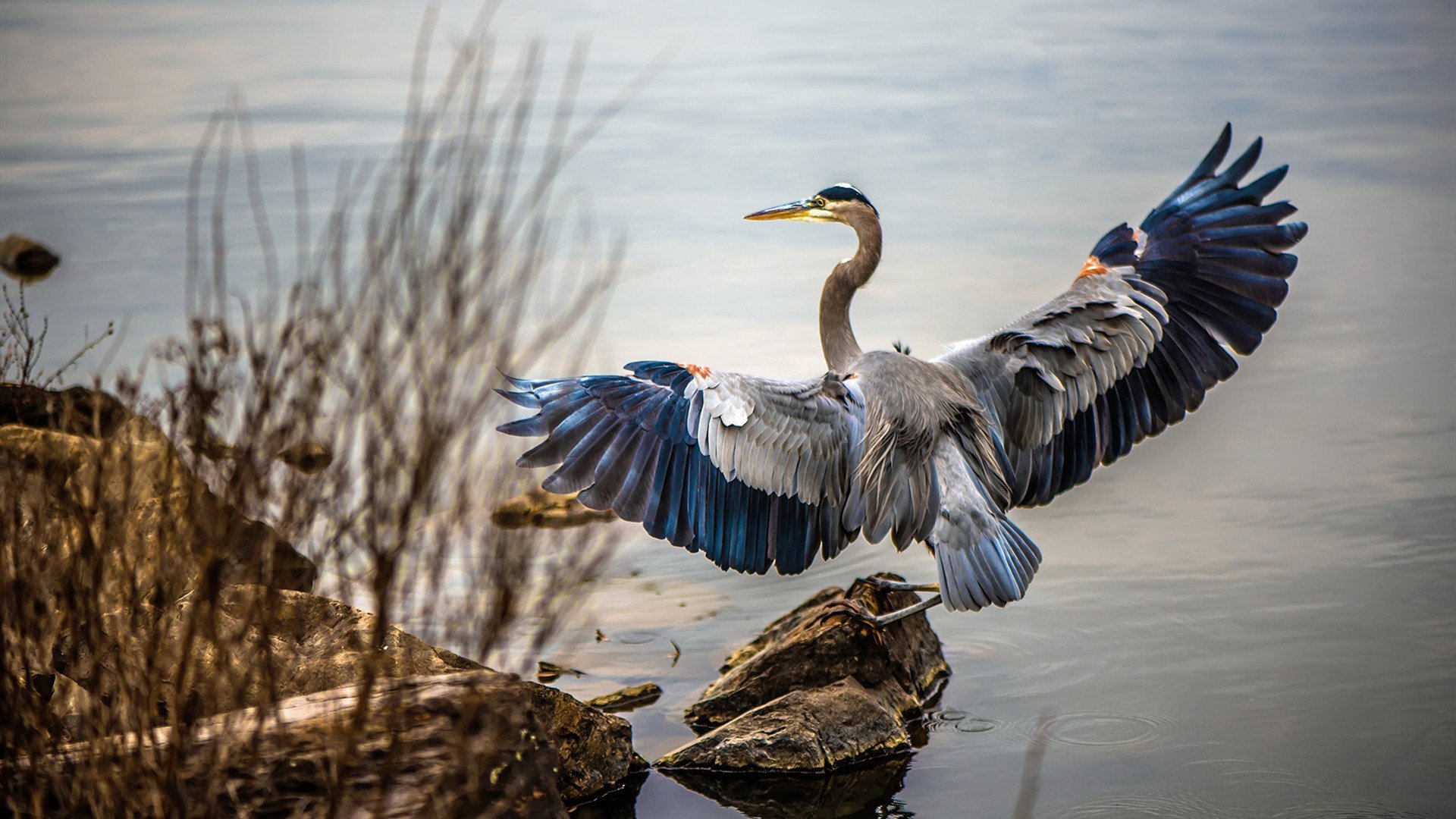 高校运动损伤防护课程纳入选修范围,运动损伤与防治考试