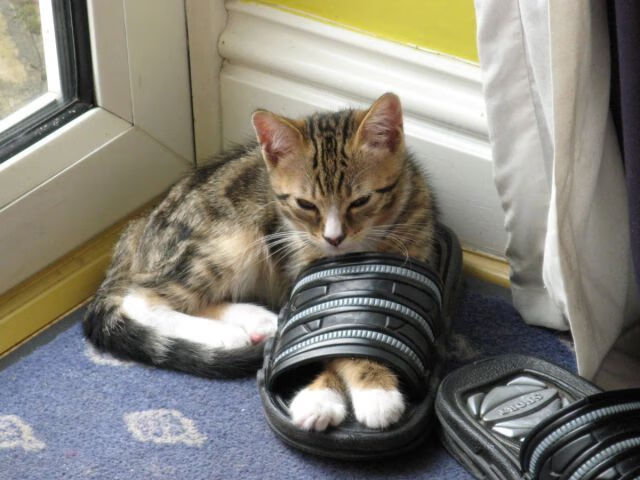 世界杯史诗级比赛:逆境逆袭的经典瞬间,世界杯最经典的一场比赛