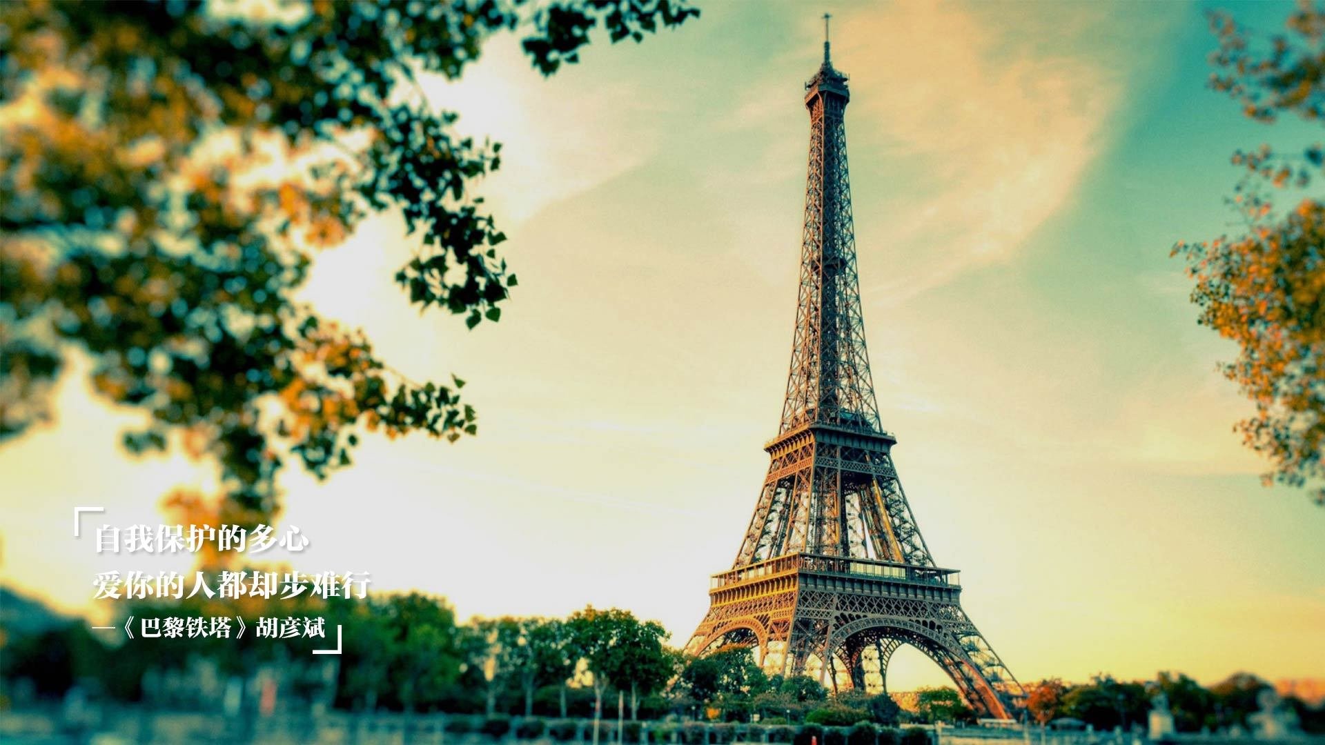 世界杯精彩集锦:每一秒都令人心动!,世界杯精彩赛事