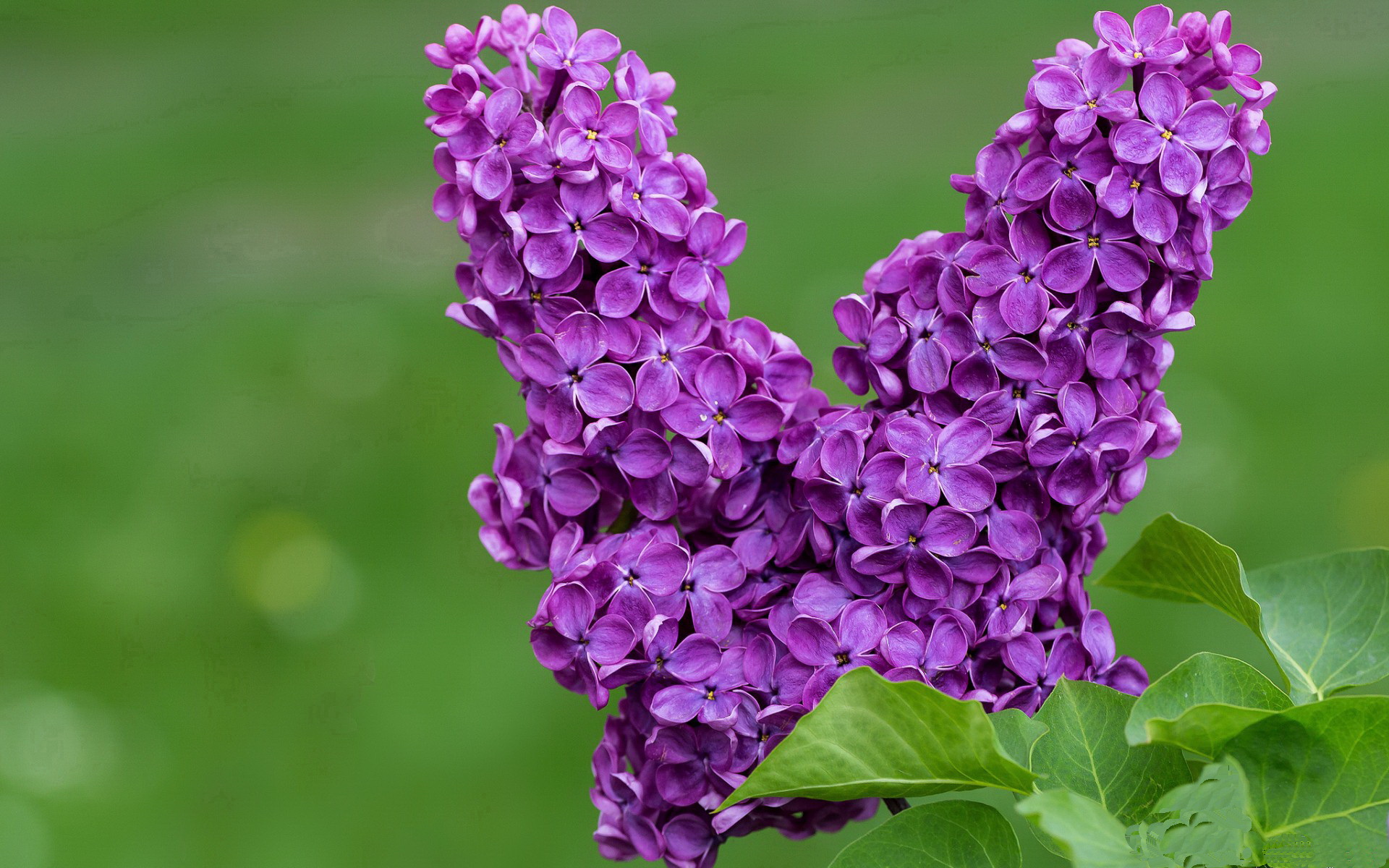 Jiu You-乌干达男篮在非洲预赛中奋勇拼搏，迈向国际舞台新目标，乌干达篮球全国联赛