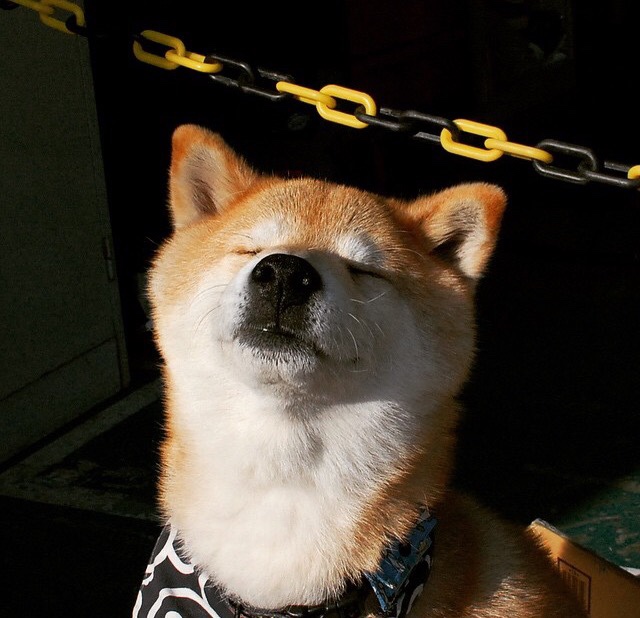 乔·波尔曼精准的传球和突破力,提升袋鼠队的整体攻击力