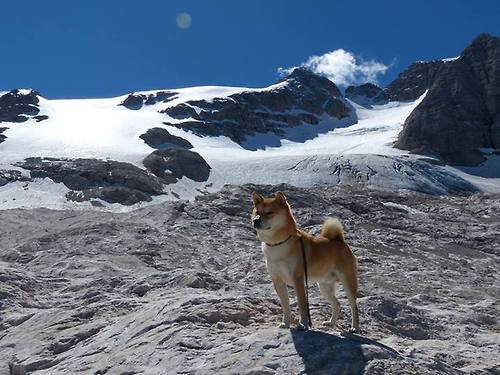 凯特·道格拉斯展现完美蛙泳技术细节,道格拉斯凯尔纳