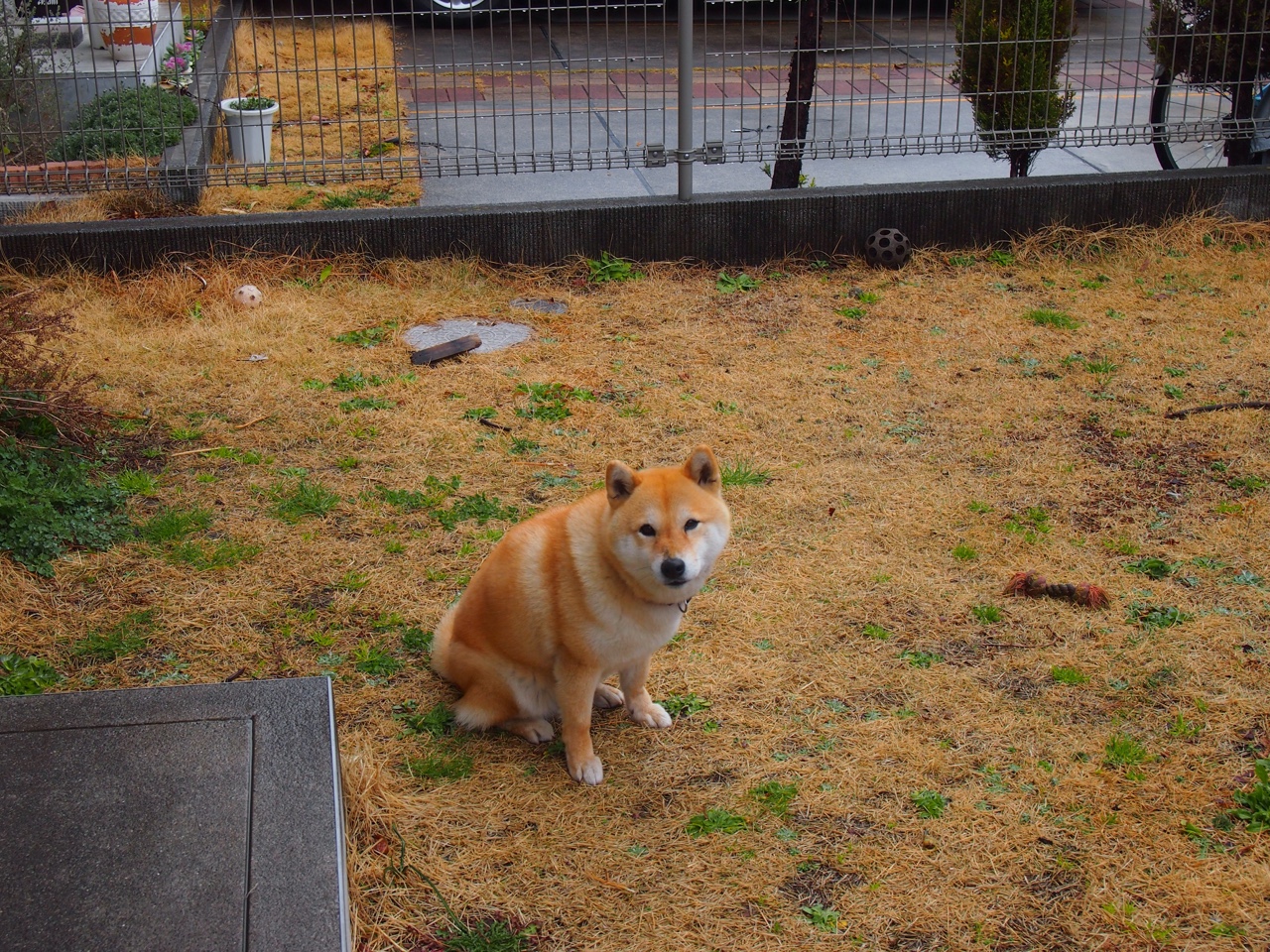 战术演练细节精密提升配合默契最大限度压缩对手空间,战术综合演练解说词