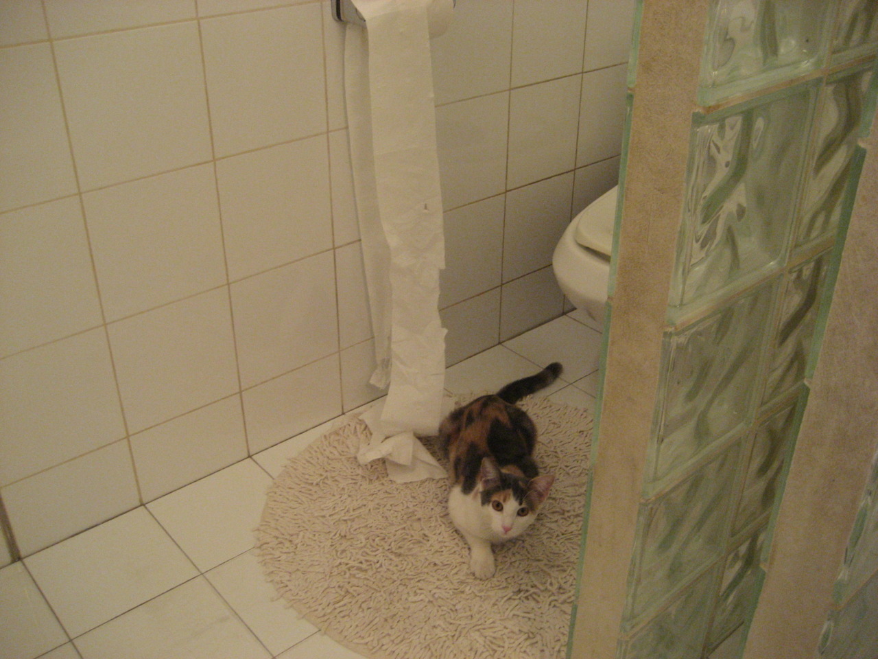 球队科技赞助商公布新训练设备合作方案,技术型球队